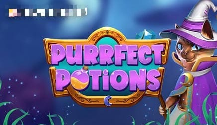 Purrfect Potions